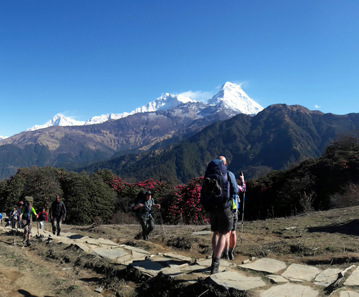 Annapurna Express