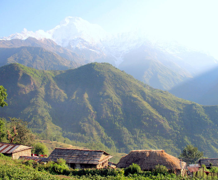 Poon hill Trek